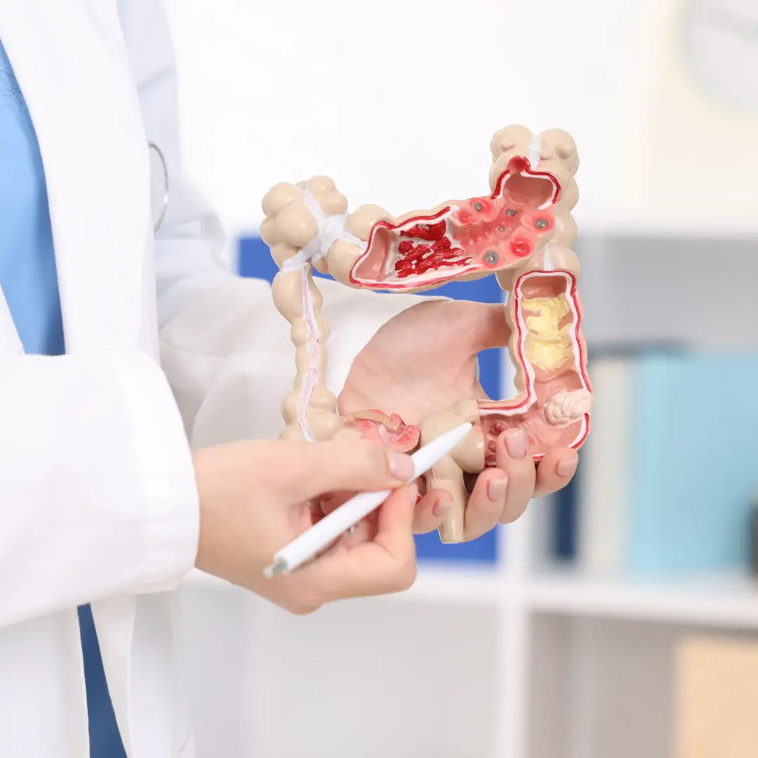 Гастроентерологія