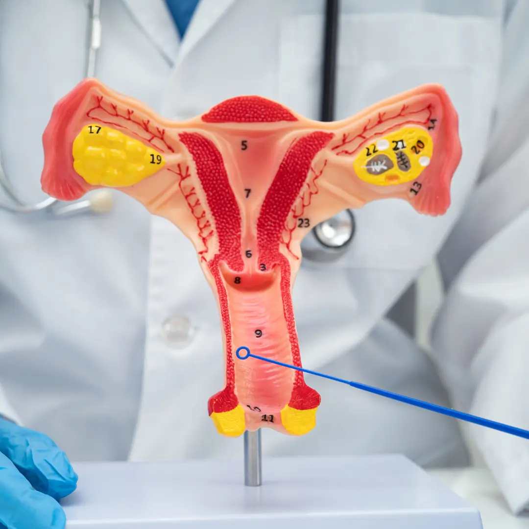 Гінекологія